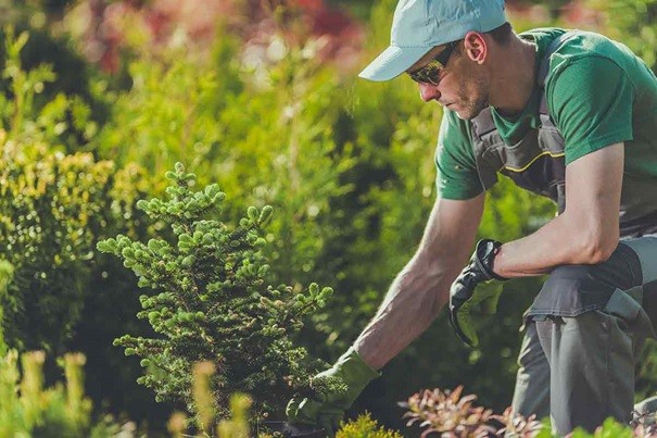 jardinier professionnel